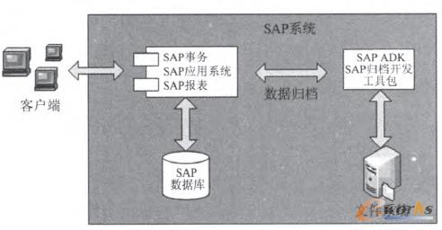 D3 SAPwnܘD